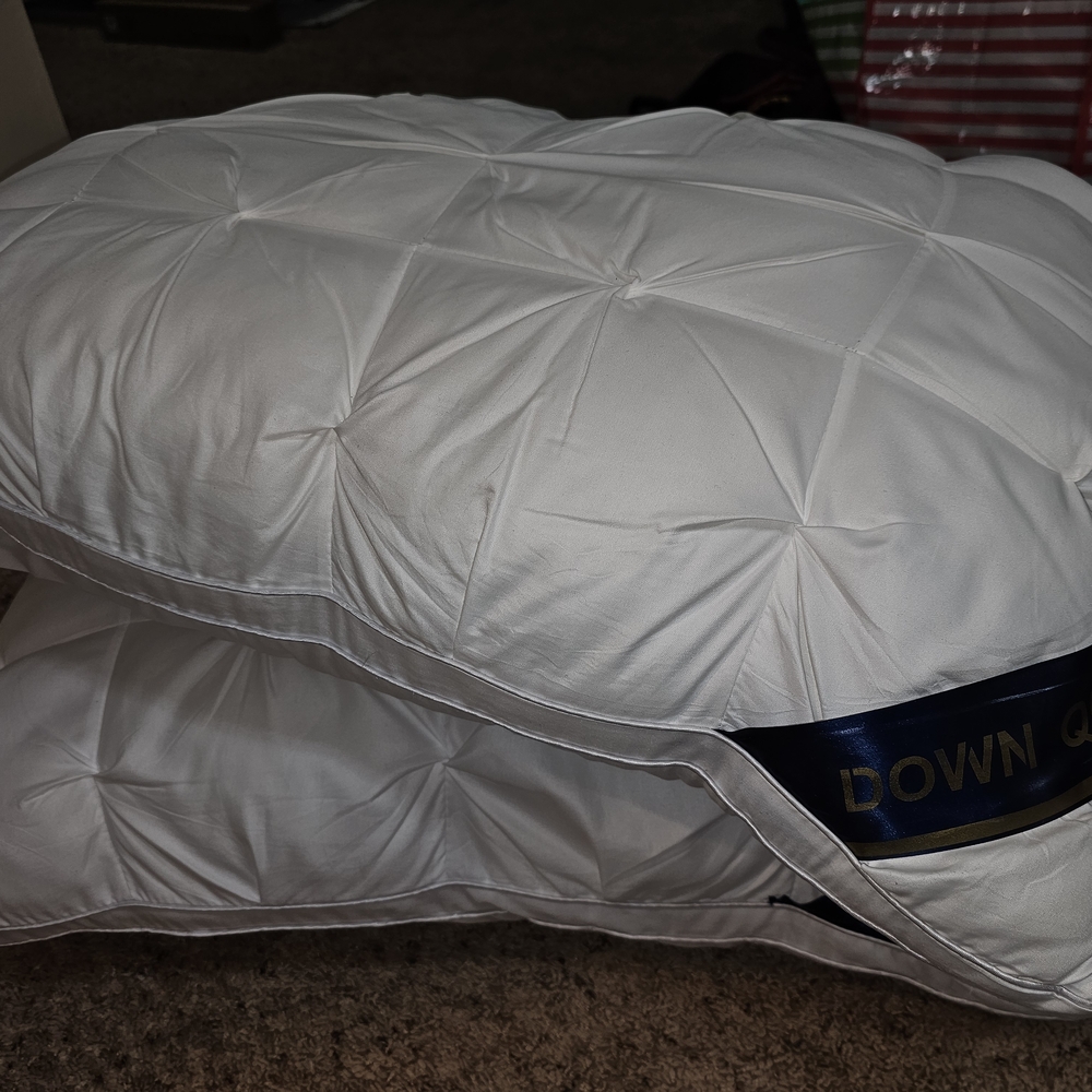 Luxury White Down Alternative Pillow Set